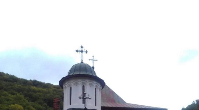 Sfinții cuvioși Daniil şi Misail de la Turnu, ocrotitorii Olteniei, cinstiți astăzi în bisericile din cuprinsul Arhiepiscopiei Olteniei