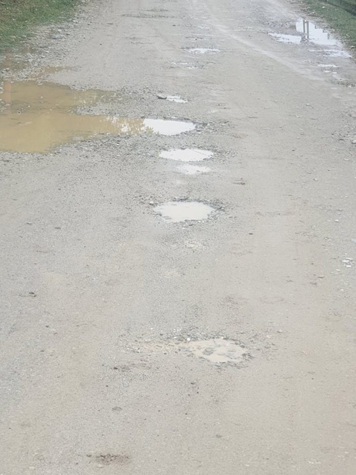 244700819_888120715153208_3654040879354456136_n