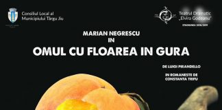 Actori târgujieni, pe scena Teatrului Național Satiricus din Chișinău