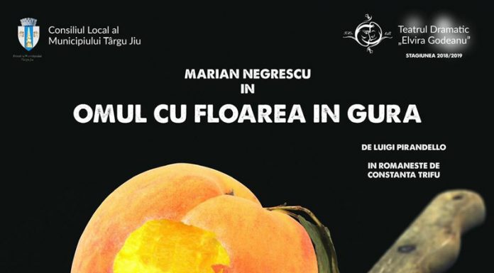 Actori târgujieni, pe scena Teatrului Național Satiricus din Chișinău