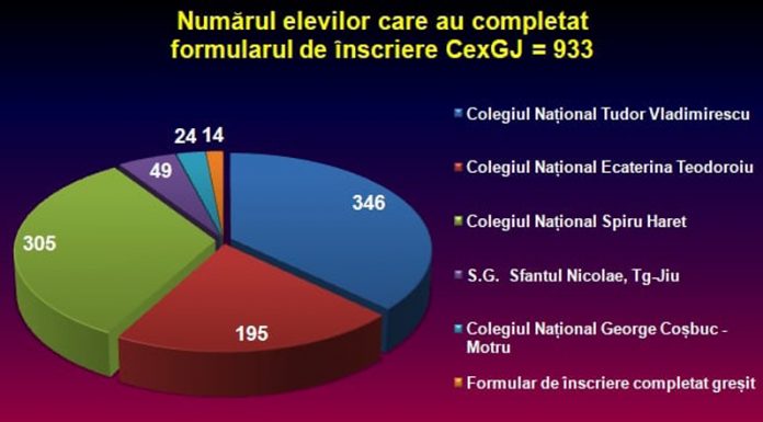 Peste 900 de elevi înscriși la Centrul Județean de Excelență Gorj. Matematica și Informatica, cele mai căutate discipline