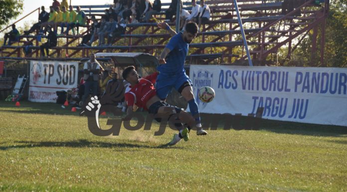 Pandurii nu au putut cuceri reduta de la Bumbeşti Jiu