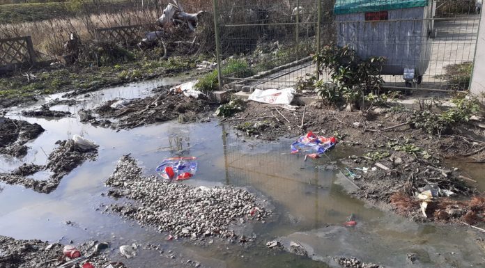 Foto: Padocul Direcției Publice Motru, o mizerie!