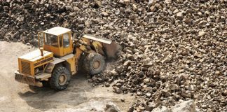 CEO dă sute de mii de lei pe piatră