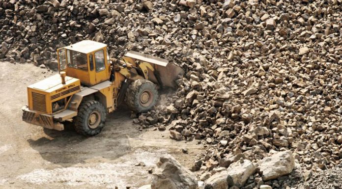 CEO dă sute de mii de lei pe piatră