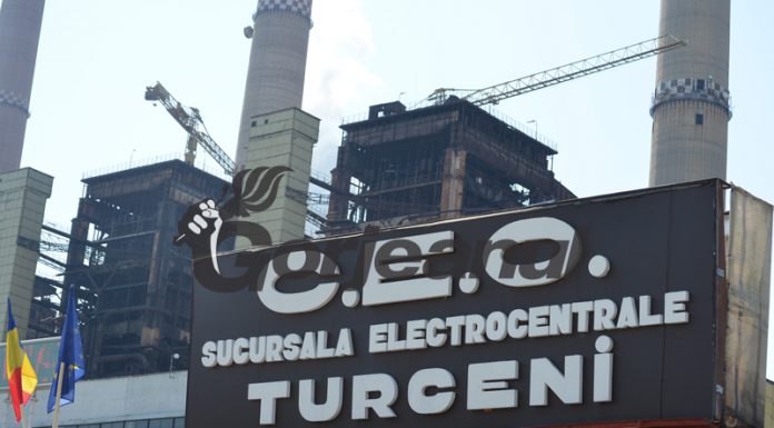 CEO caută parteneri pentru construirea parcurilor fotovoltaice și a centralelor pe gaz