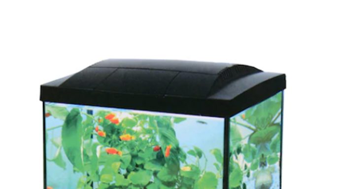 Cum să integrazi acvarii pești în designul casei tale