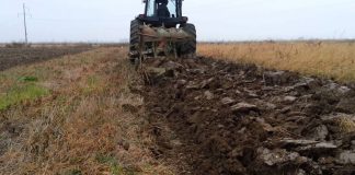 Agricultura pe înțelesul tuturor – Înființarea culturilor de toamnă