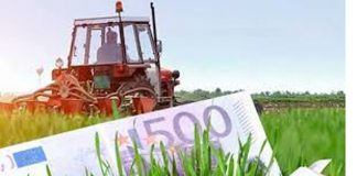 APIA a dat startul plăților în avans pentru Campania 2021