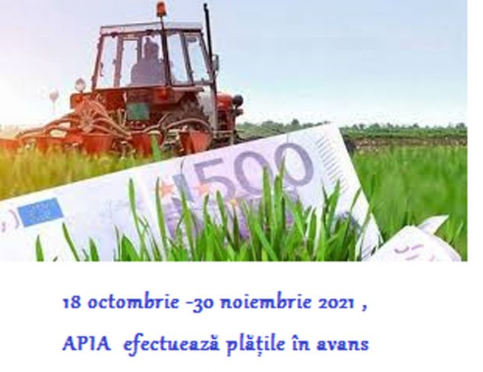 avans-2021-APIA