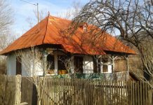Educaţia…şi Lecţia de viaţă! Satul românesc se depopulează dramatic! Repere sociologice! – ,,Mediul de viaţă rural este un spaţiu specific în care convieţuiesc grupuri de oameni cu un mod special de a fi”!