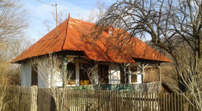 Educaţia…şi Lecţia de viaţă! Satul românesc se depopulează dramatic! Repere sociologice! – ,,Mediul de viaţă rural este un spaţiu specific în care convieţuiesc grupuri de oameni cu un mod special de a fi”!