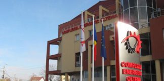 Fosta secretară a lui Ciurel a jecmănit de peste 7 miliarde mai bine de 100 de salariați din CEO! Peste dosarul penal s-a pus praful la Poliție