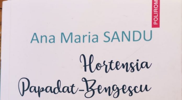 (Ne)fericirile unei mari prozatoare