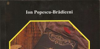 Ecouri critice la „O foarte succintă introducere în poezia română contemporană”