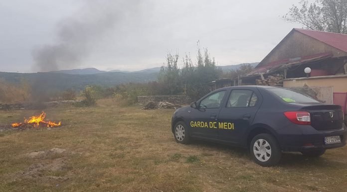 Amendă de 10.000 lei la Bumbești-Jiu