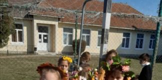 Activitate desfășurată la Școala Gimnazială Nr.1 Albeni ,,FRUMOASA ȘI BOGATA TOAMNĂ”
