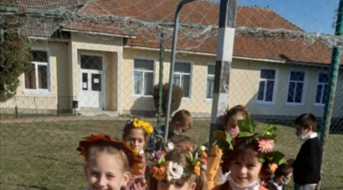 Activitate desfășurată la Școala Gimnazială Nr.1 Albeni ,,FRUMOASA ȘI BOGATA TOAMNĂ”