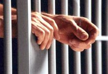 Scoarța: Închisoare cu executare pentru un bărbat acuzat de furt calificat!