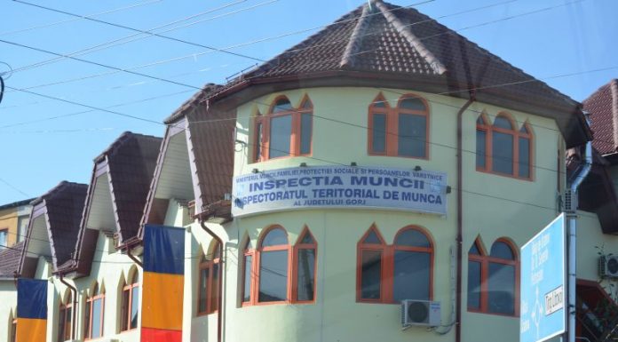 Zeci de patroni amendați pentru muncă la negru