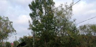 Podul de la Lazuri, gata într-o săptămână