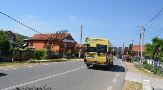 Microbuz nou, de ultimă generație, pentru o primărie din Gorj. Achiziția ajunge la 60.000 de euro!