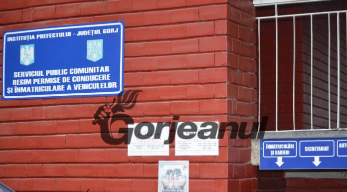 Certificat verde la Prefectura Gorj, Pașapoarte și Permise Auto
