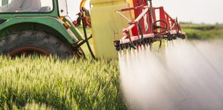 Agricultura pe înțelesul tuturor – Păstrarea și folosirea corectă a pesticidelor