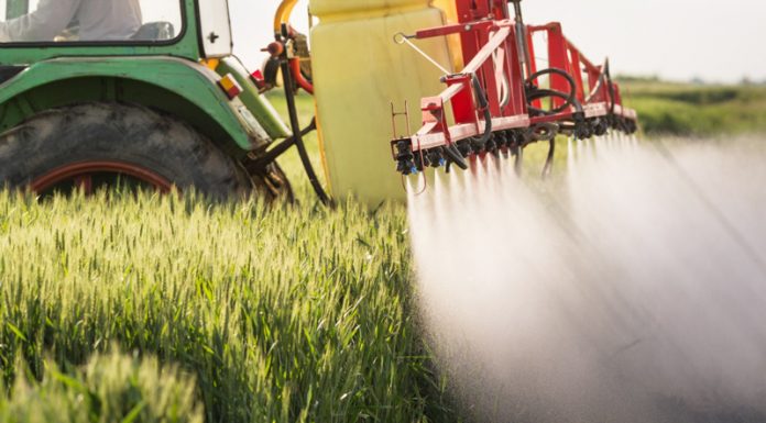 Agricultura pe înțelesul tuturor – Păstrarea și folosirea corectă a pesticidelor