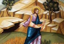 Calea, Lumina, Adevărul şi Viaţa! – Dumnezeu ne învaţă că pentru a rodi Cuvântul Domnului, avem nevoie de multă răbdare, de multă rugăciune şi de ascultare smerită, de dorinţa sinceră a mântuirii noastre!