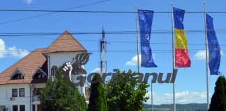 Post vacant de director. Condiții!