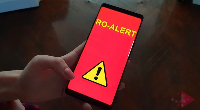 Ursoaică cu pui, în cartierul Ursați din Târgu Jiu! Populația, avertizată