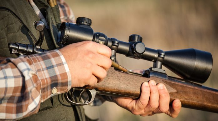 Condamnat pentru că a împușcat un câine bolnav