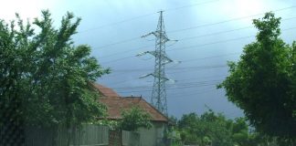 FILOZOFII AUTUMNALE – „In vino veritas”