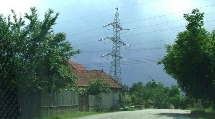 FILOZOFII AUTUMNALE – „In vino veritas”