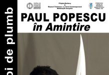 Lumea gorjenească – Pasărea cu aripi de plumb