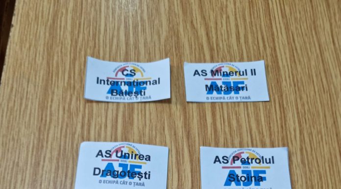 S-au stabilit sferturile cupei județene