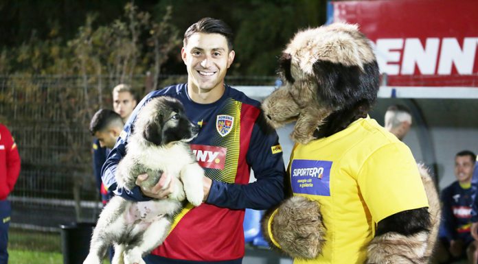 Ciobănescul carpatin a devenit mascota naționalei