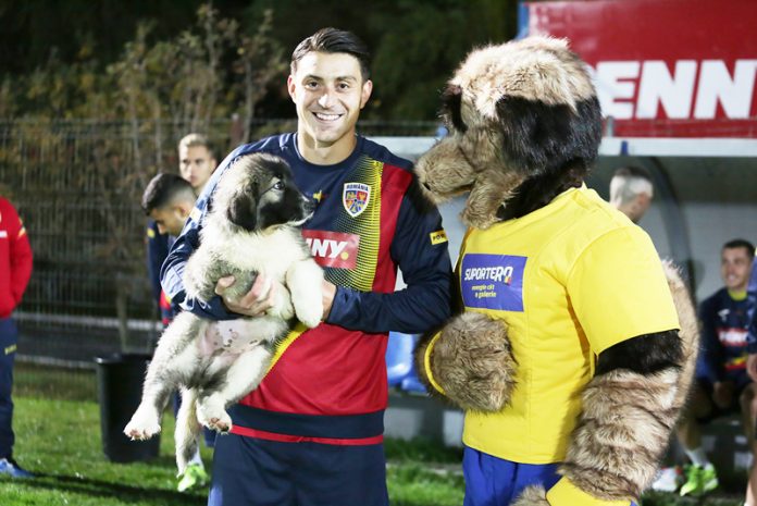 254925415_564070411324799_7827717598783688717_n