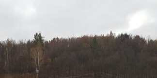 CSO Turceni conduce Liga 4