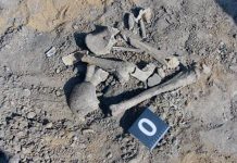 Nou-născut omorât cu cruzime la Licurici! Osemintele, îngropate la 20 de metri de casa potențialilor făptași