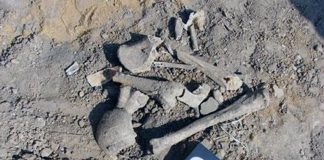 Nou-născut omorât cu cruzime la Licurici! Osemintele, îngropate la 20 de metri de casa potențialilor făptași