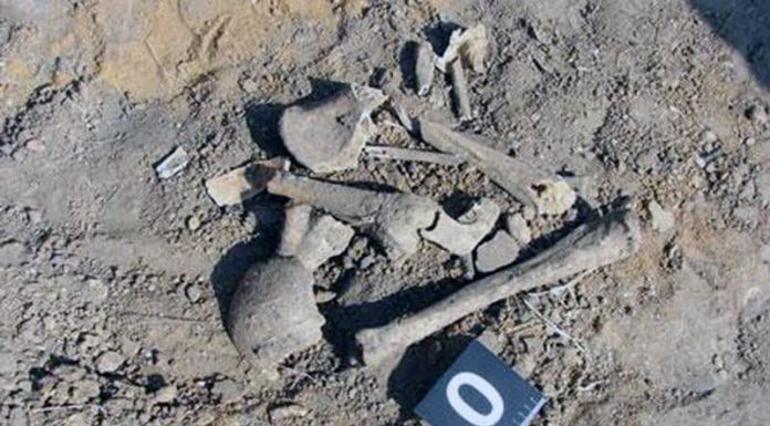 Nou-născut omorât cu cruzime la Licurici! Osemintele, îngropate la 20 de metri de casa potențialilor făptași