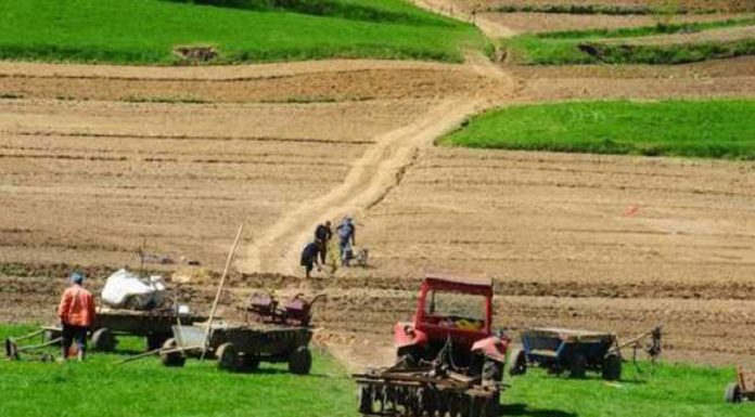 Agricultura pe înțelesul tuturor – Graficul lucrărilor agricole în luna noiembrie