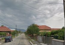 Guvernul a aprobat stema comunei Arcani