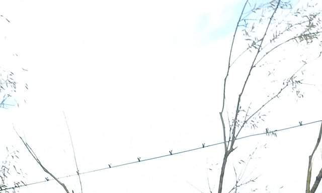 Accident cu victimă la Cîlnic