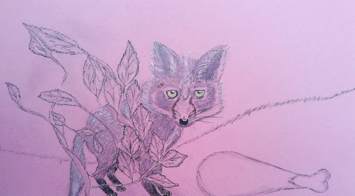 Povești din pădure – Lăcomiță