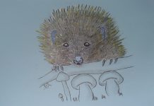 Povești din pădure: Aricel cel mititel