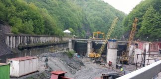 Șeful Hidroelectrica, despre reluarea investițiilor de pe Jiu: Ni se cere să protejăm un rac care nu a fost găsit niciodată