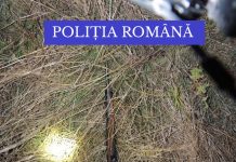 Au braconat trei căprioare la Brănești! Autorii, arestați